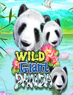 รีวิวสล็อต โร ม่า ฟรี: เกมสนุกจาก Spade Gaming